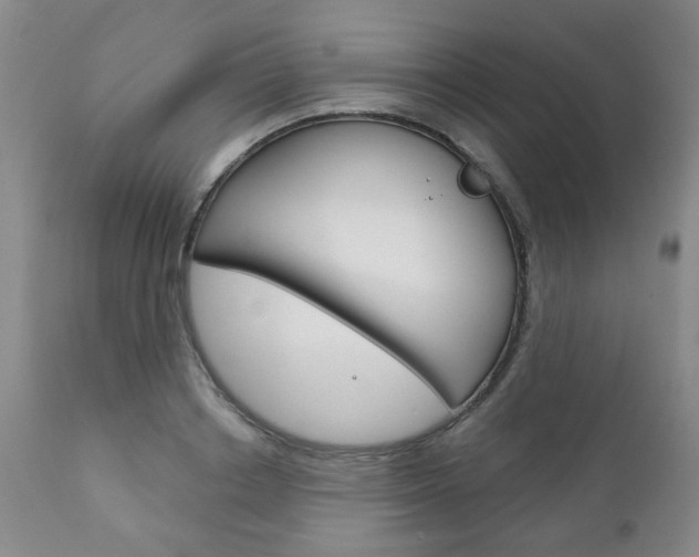 X0000111180842200907011030