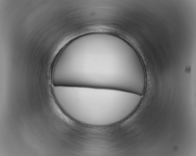 X0000111180843200907011030