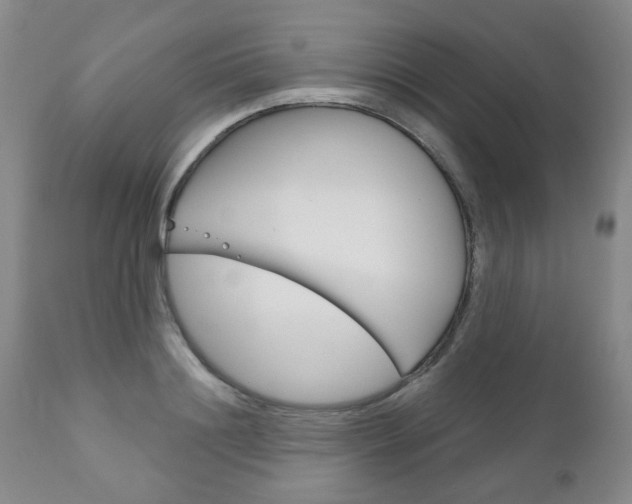 X0000111180844200907011030