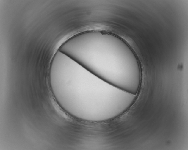 X0000111180850200907011030
