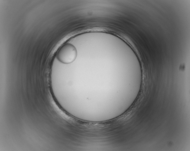 X0000111180851200907011030