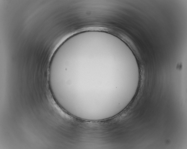X0000111180852200907011030