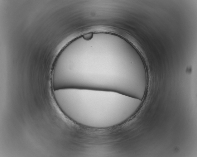 X0000111180853200907011030