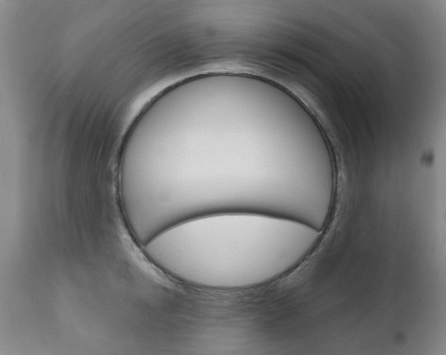 X0000111180854200907011030