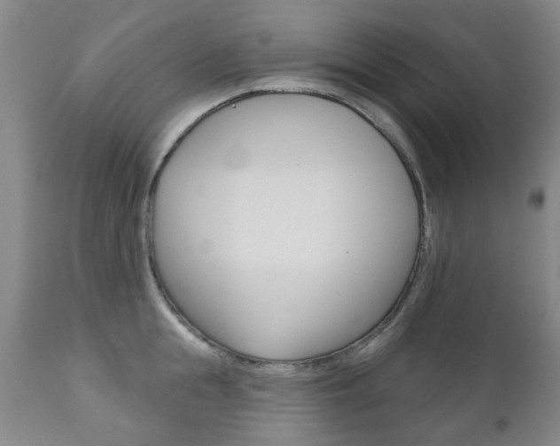 X0000111180855200907011030