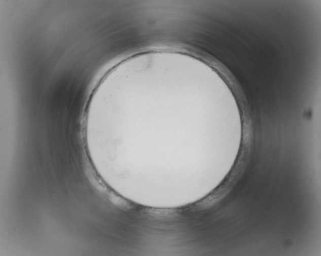X0000111180856200907011030