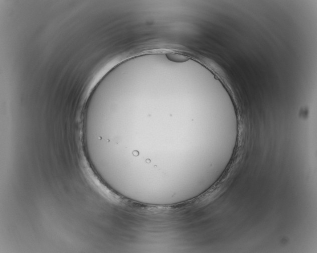 X0000111180859200907011030