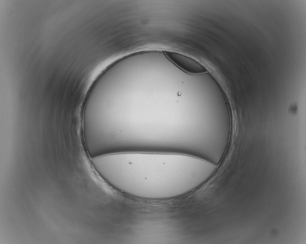 X0000111180862200907011030