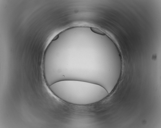 X0000111180863200907011030