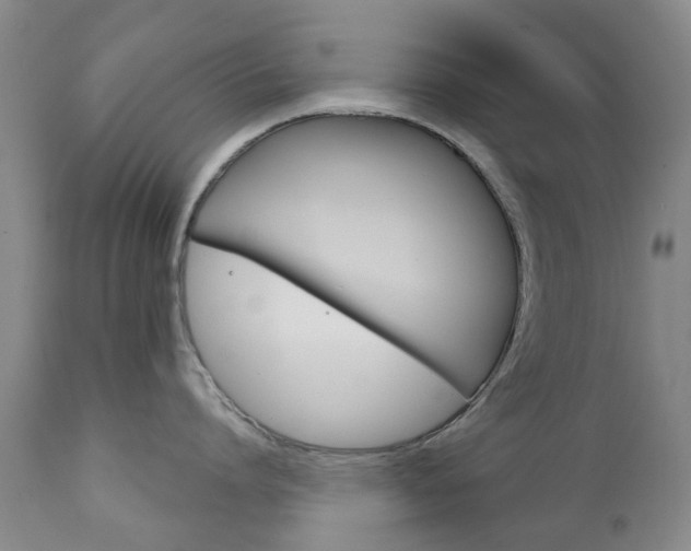 X0000111180864200907011030