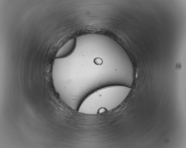 X0000111180867200907011030