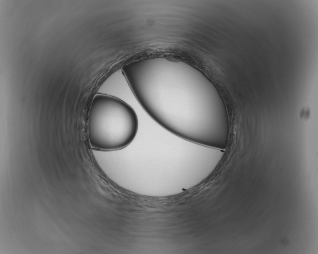 X0000111180868200907011030
