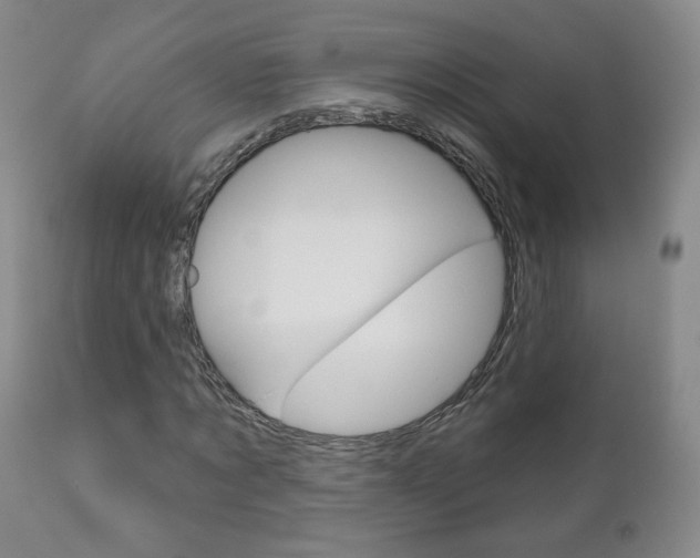 X0000111180869200907011030