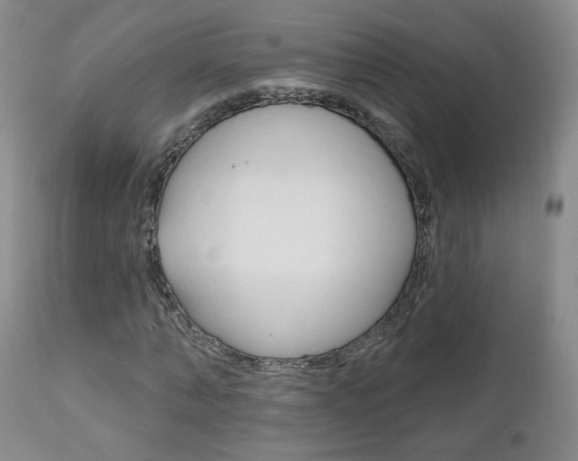 X0000111180870200907011030