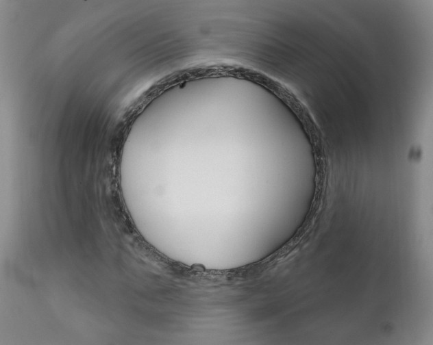 X0000111180871200907011030