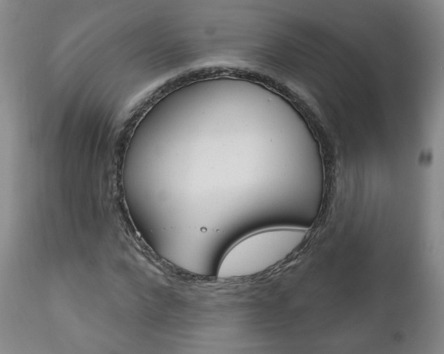 X0000111180872200907011030