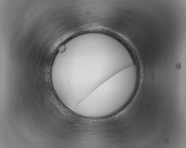 X0000111180873200907011030