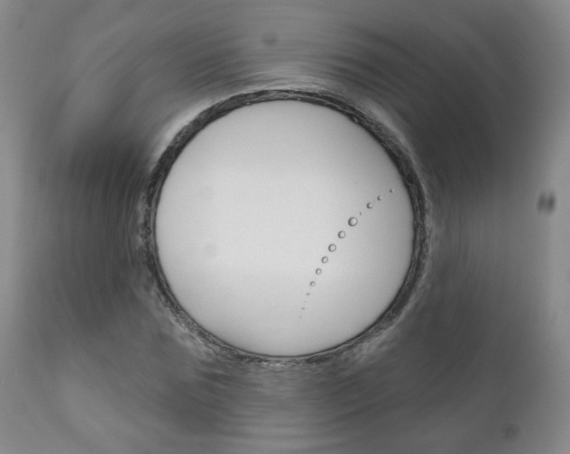 X0000111180875200907011030