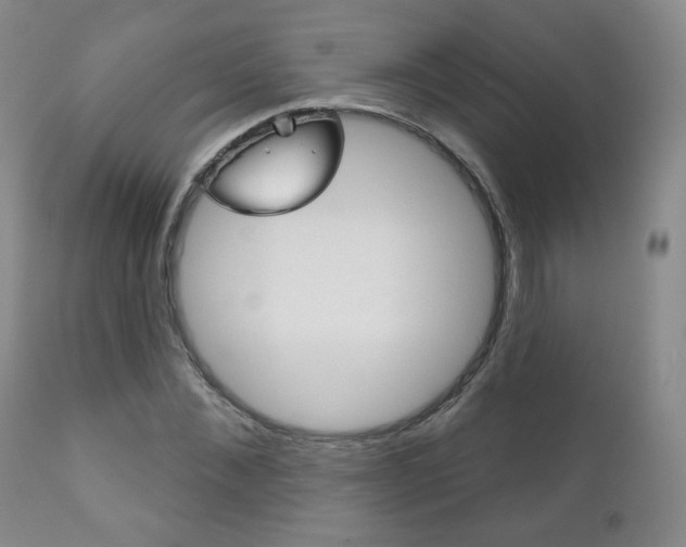 X0000111180876200907011030