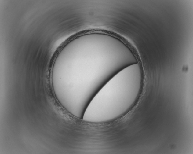 X0000111180879200907011030