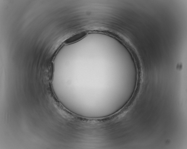 X0000111180881200907011030