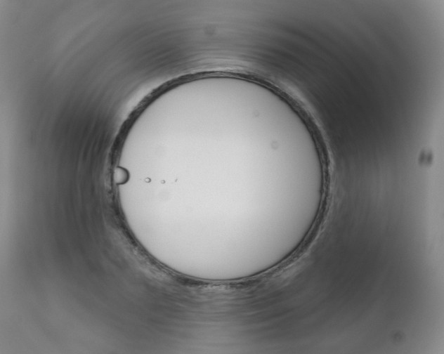X0000111180883200907011030