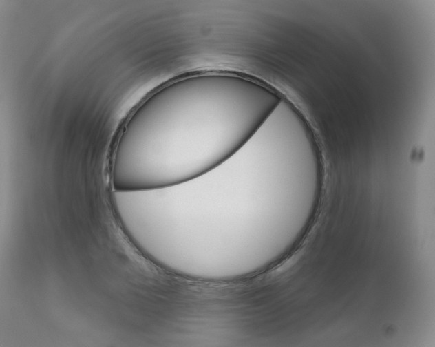 X0000111180885200907011030
