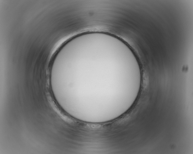 X0000111180886200907011029