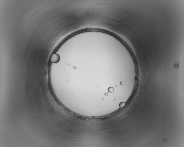 X0000111180887200907011029