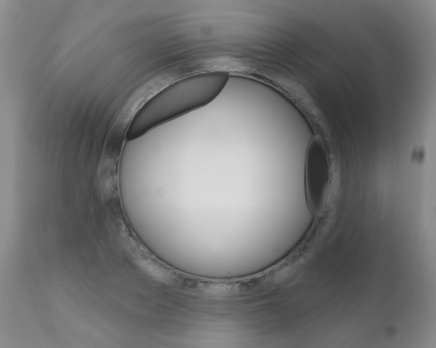 X0000111180889200907011029