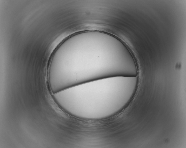 X0000111180891200907011029