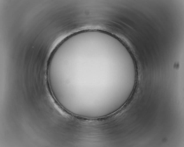 X0000111180894200907011029