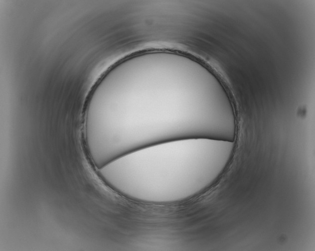 X0000111180895200907011029