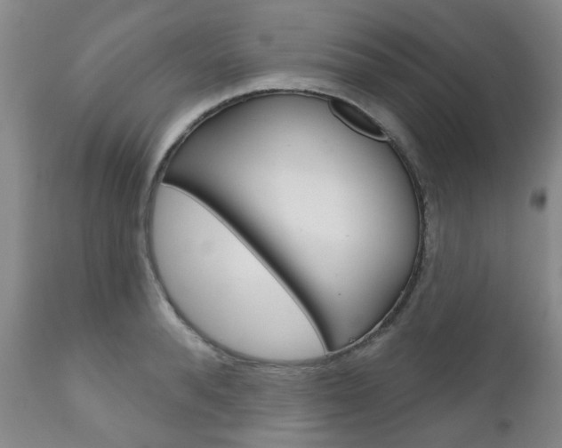 X0000111180896200907011029