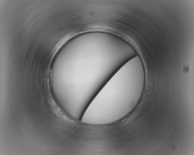 X0000111180899200907011029