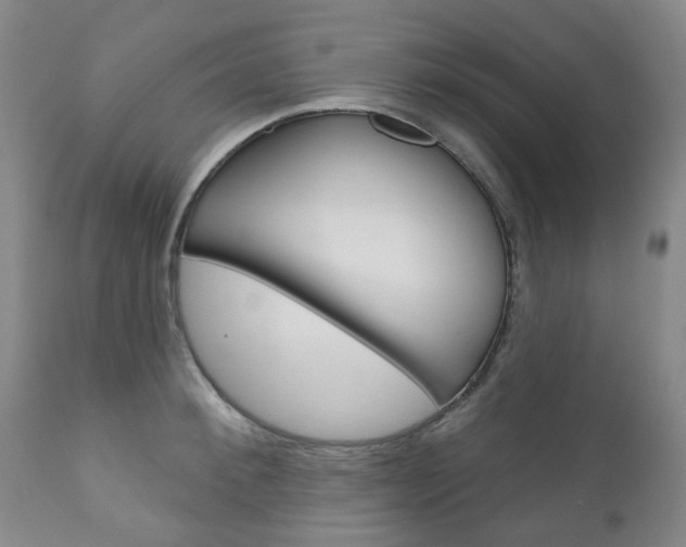 X0000111180900200907011029