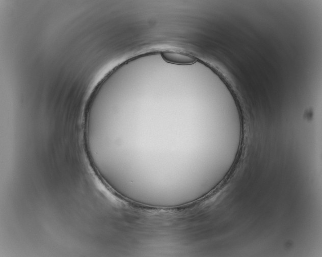 X0000111180902200907011029