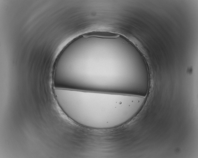 X0000111180904200907011029