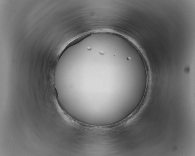 X0000111180905200907011029