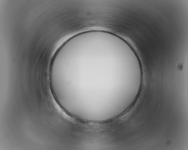 X0000111180910200907011029