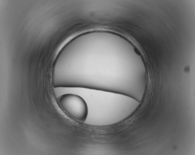 X0000111180911200907011029