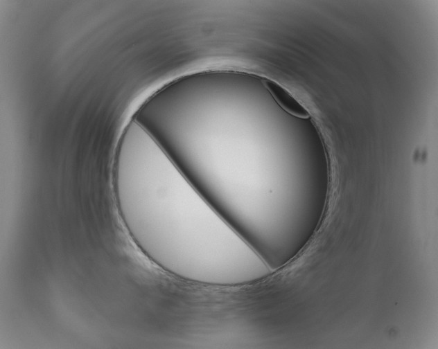 X0000111180912200907011029