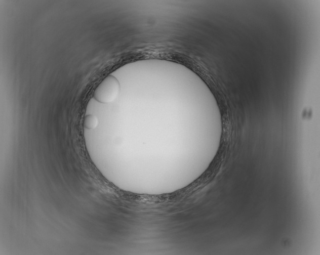 X0000111180913200907011028