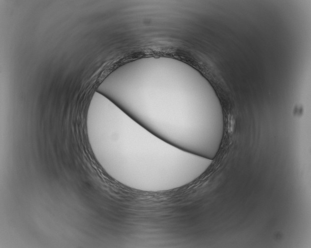 X0000111180915200907011028