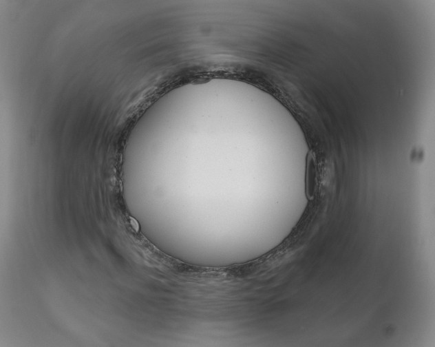 X0000111180916200907011029
