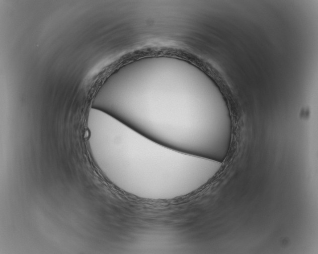 X0000111180919200907011029