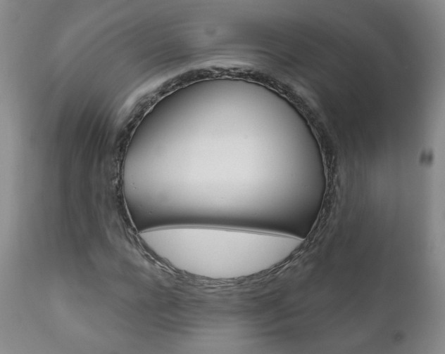 X0000111180920200907011029