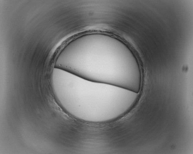X0000111180923200907011029