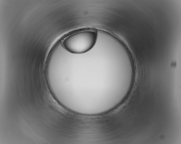 X0000111180924200907011029
