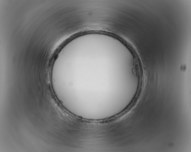X0000111180925200907011029